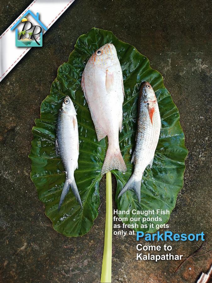 Parkresort - Organic Farm Resort Kala Pathar Beach Luaran gambar