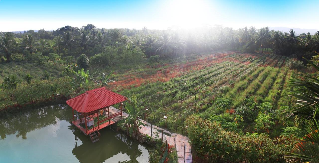 Parkresort - Organic Farm Resort Kala Pathar Beach Luaran gambar